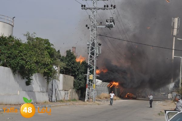 fireludkartoonmasna34 (38).JPG